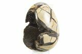 Septarian Dragon Egg Geode - Black Crystals #304615-2